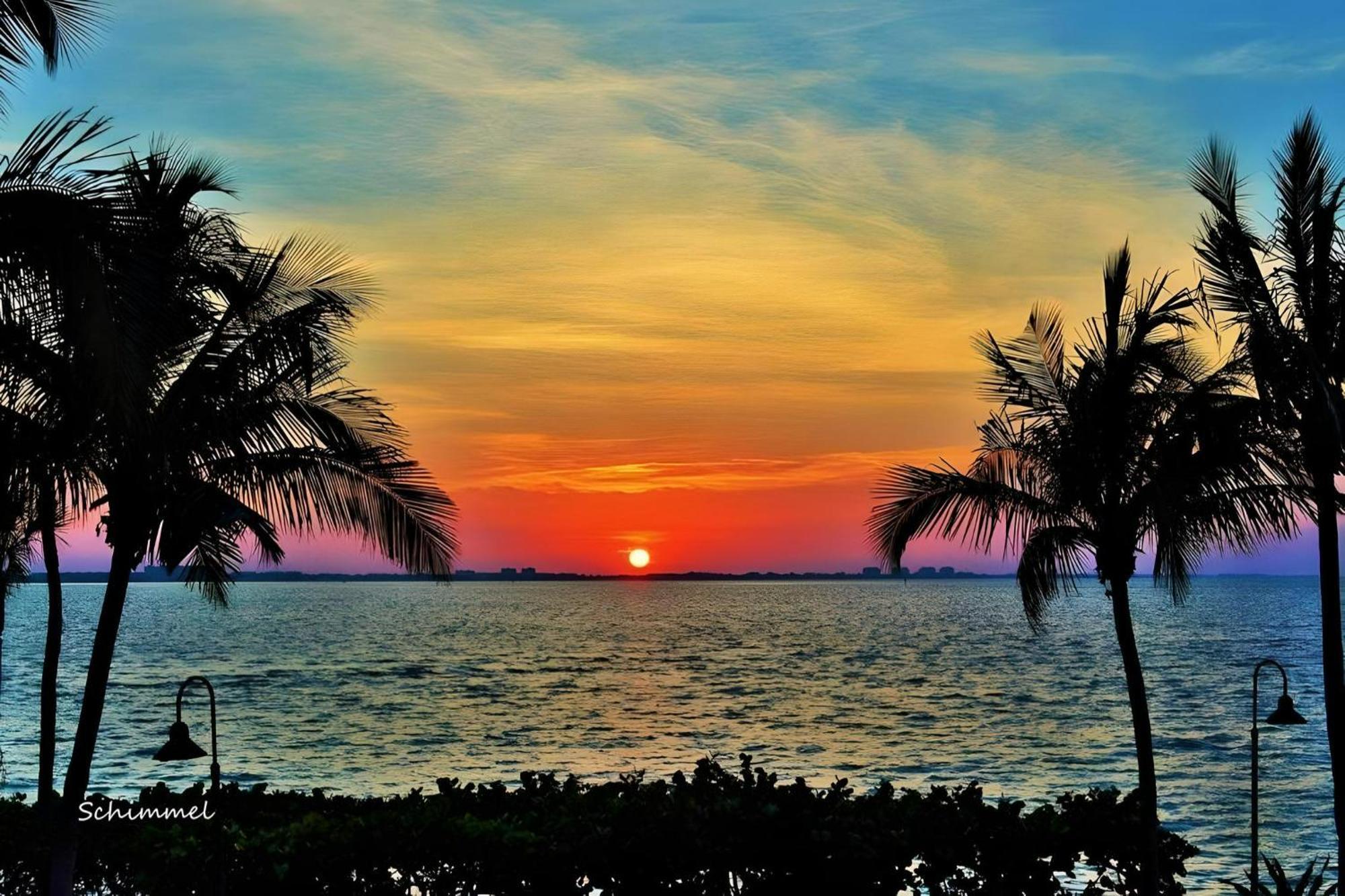 Apartamento Luxury Zen Den With Heated Pool Just Off Siesta Key Sarasota Exterior foto
